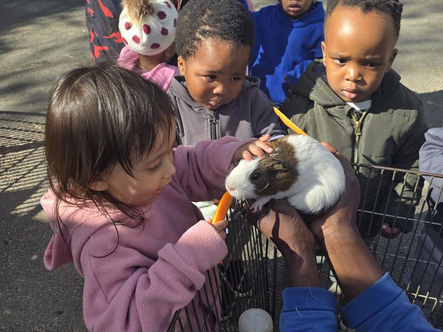 Petting zoo at Little Toddlers Creche